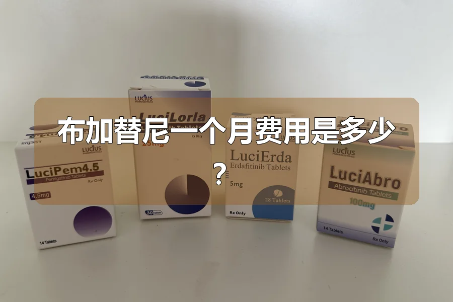 布加替尼一个月费用是多少?