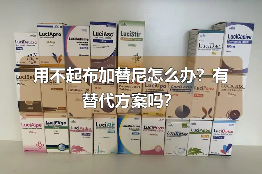 用不起布加替尼怎么办?有替代方案吗?